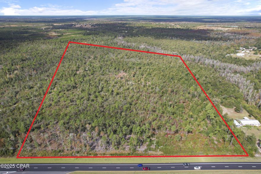 21 acres of endless possibilities! Over 700 ft. of frontage on Hwy 231 and only 12 miles north of Hwy 77 and Hwy 231 intersection. Additional land available (05461-000-000)