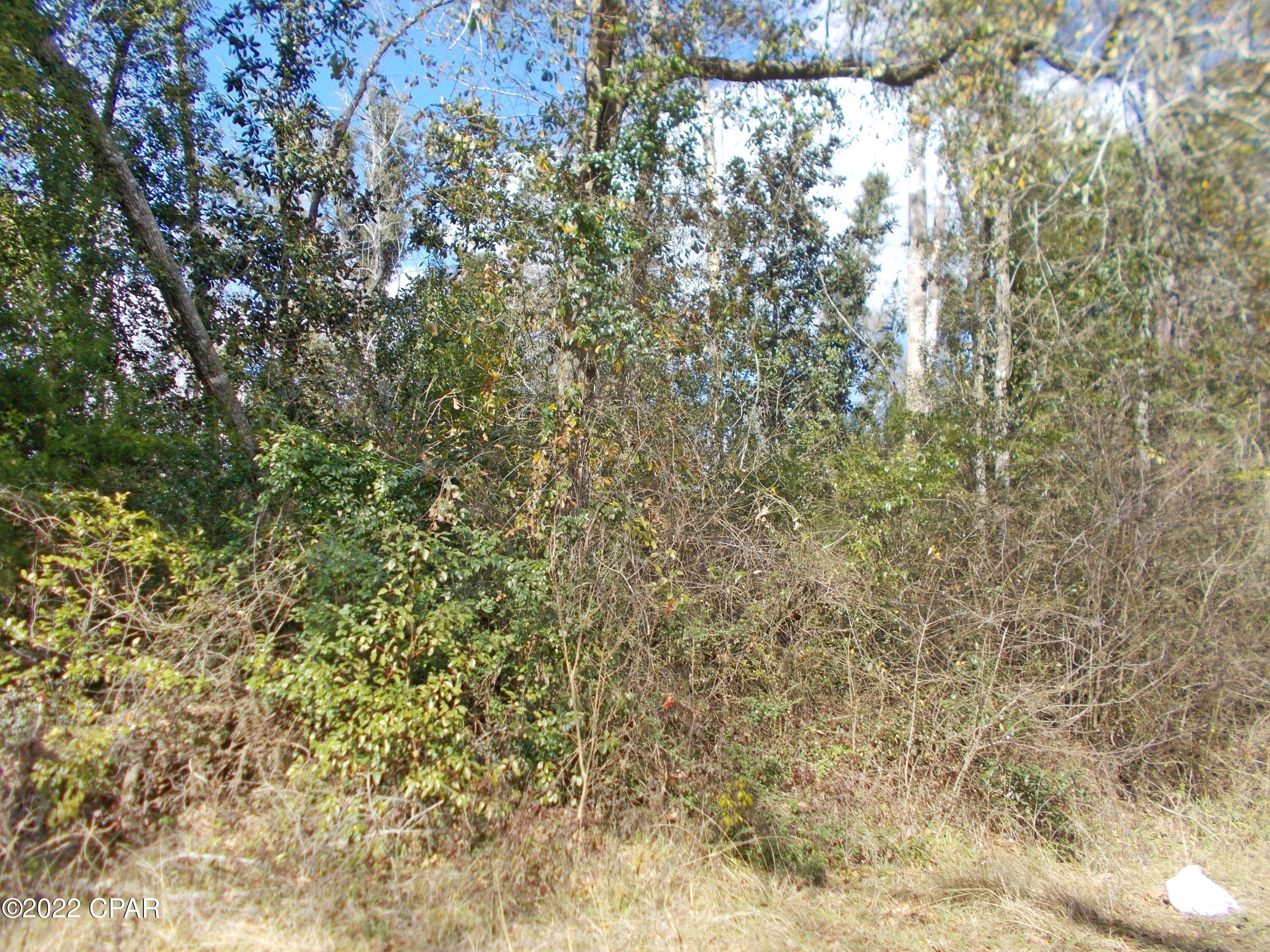 No Named Subdivision - Land