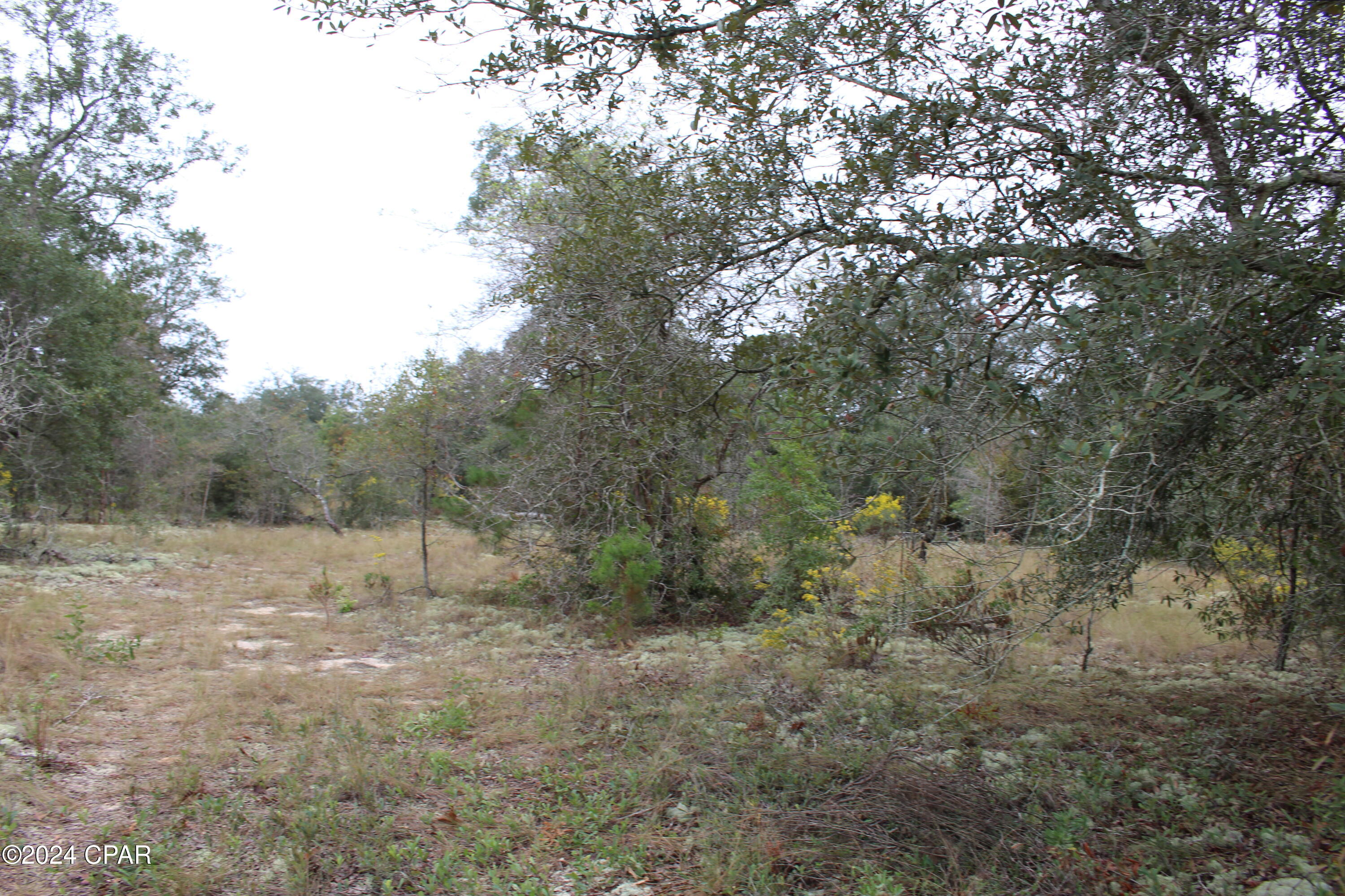 Silver Lake Estates - Land