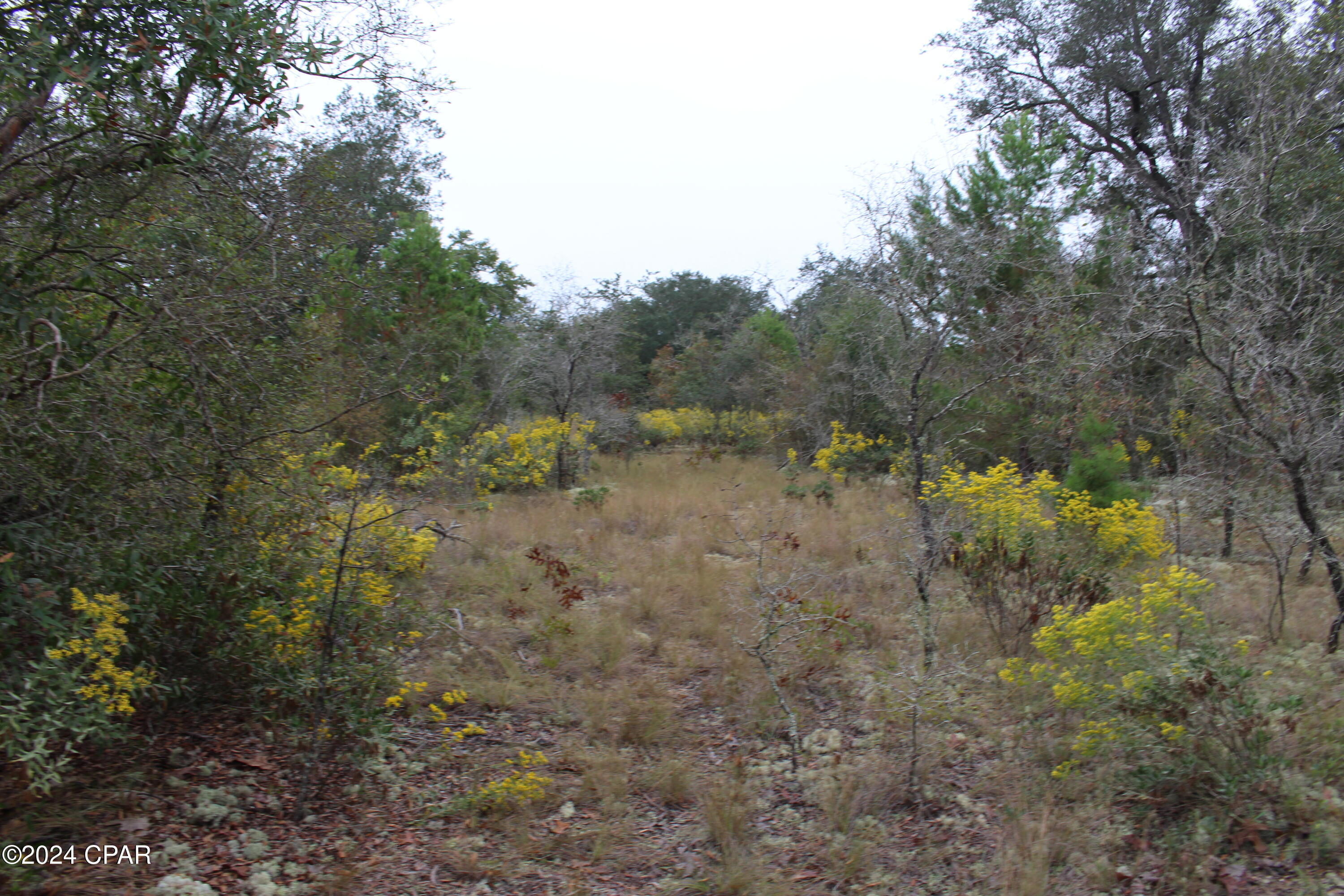 Silver Lake Estates - Land