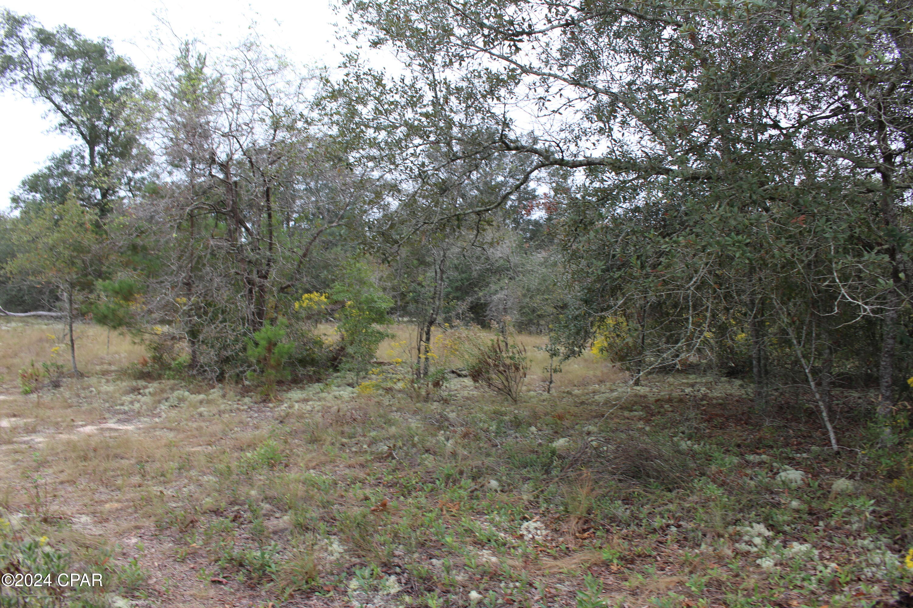 Silver Lake Estates - Land