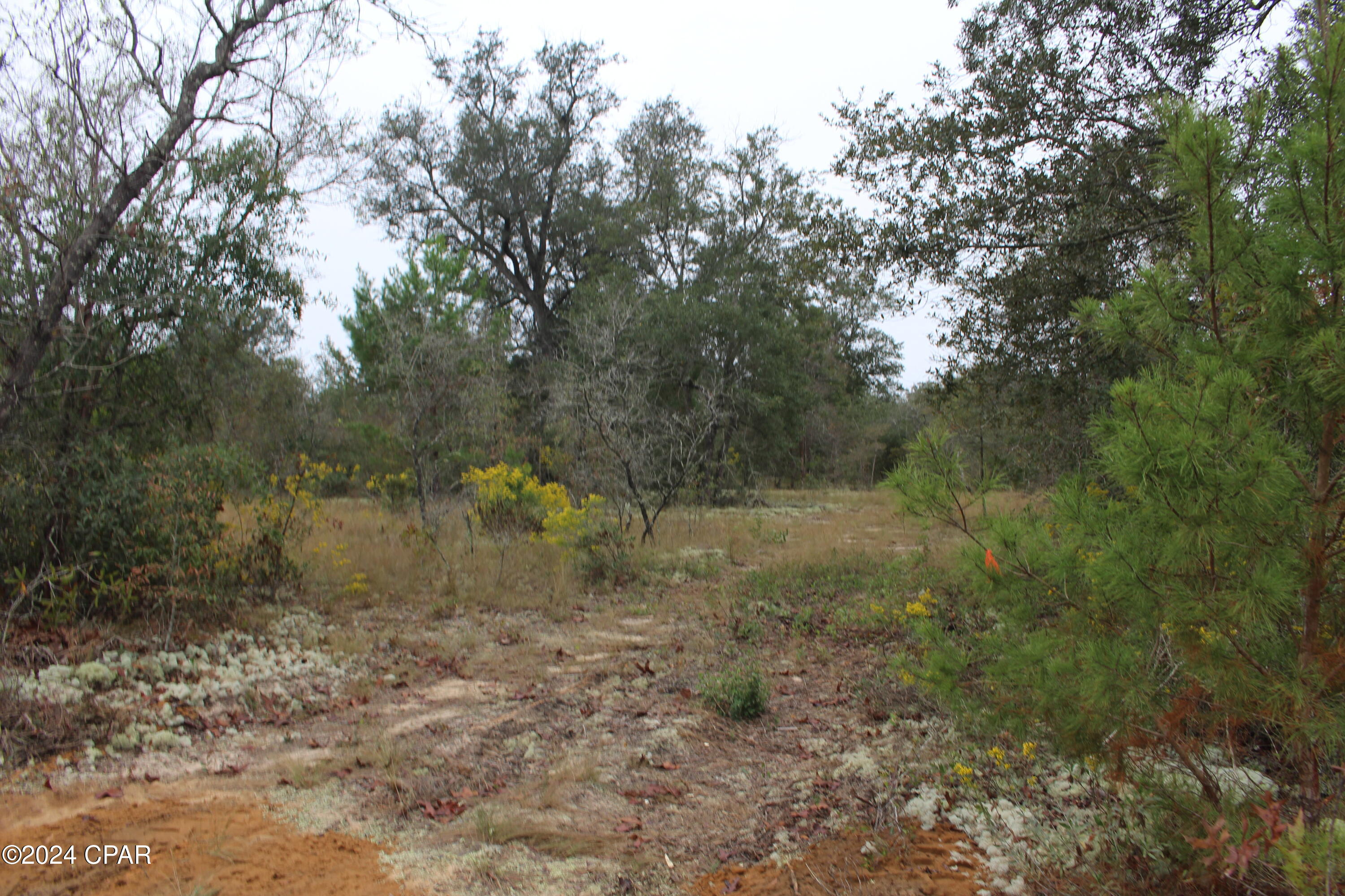 Silver Lake Estates - Land