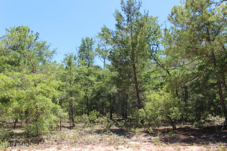 80 Wooded acres in Bay County. According to plat map, appears to have a creek that runs thru property. Close drive to Hwy 231.  30  minute drive to Panama City to Beaches. Wooded with oaks & pines. Additional access to parcel 2 on Timbercrest Rd. Adjoining 40 acres available for purchase, see MLS 659353