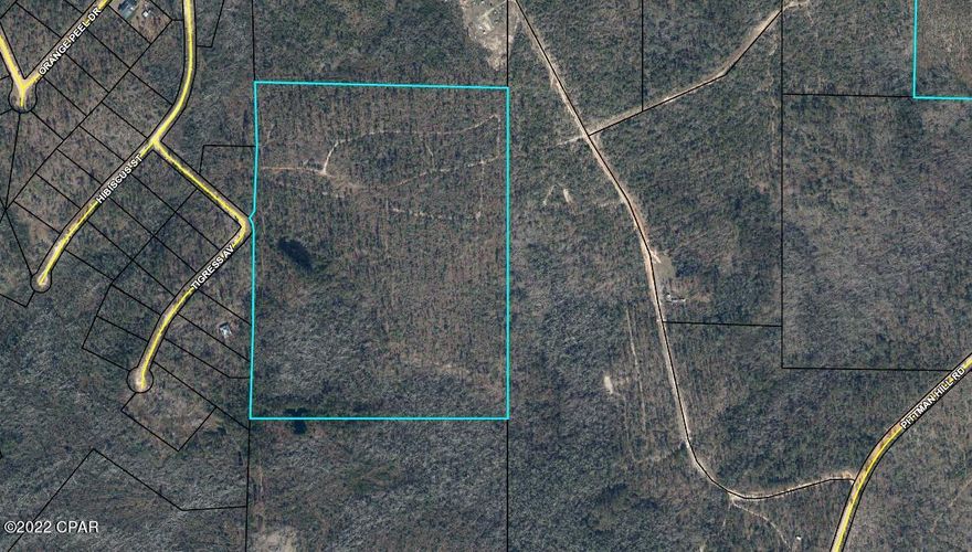 If you are looking for privacy this place is it.  50 acres with great elevations on parts of the 50 acres located at the edge of Compass Lake in the Hills with no deed restrictions.  It still needs some TLC from hurricane Michael but overall it is beautiful.  You could build your dream home or multiple homes.  Power lines run right along the property line so that would be no issues when building your dream home or camp house.