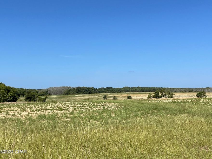 Located on Gavin Rd is this 161.61 +/- Acres (PER A SURVEY) of beautiful rolling hills. Approximately 97.63 Acres is farmed and terraced, the balance has some low areas, lots of wildlife and some timber. Majority of the soils are Dothan Loamy Sand which is good for farming or pasture.  One year ago this property was all pasture and had cows on it, today it is planted in peanuts. The perimeter of the property is fenced with 5 strand barbed wire and in the center of the property is a catch pen. There is a 4'' well with 2 PHASE electrcity run to the middle of the farm and also a nice stocked pond for watering livestock. These rolling hills offer a great place to build your new home overlooking the entire property if you wished. If you are a Hunter there are plenty of game, large and small, to hunt. The farm is currently being farmed and we will honor the harvest of the crop. Seller just had the property surveyed and copy is available to Buyer. Cotton and peanut bases included.