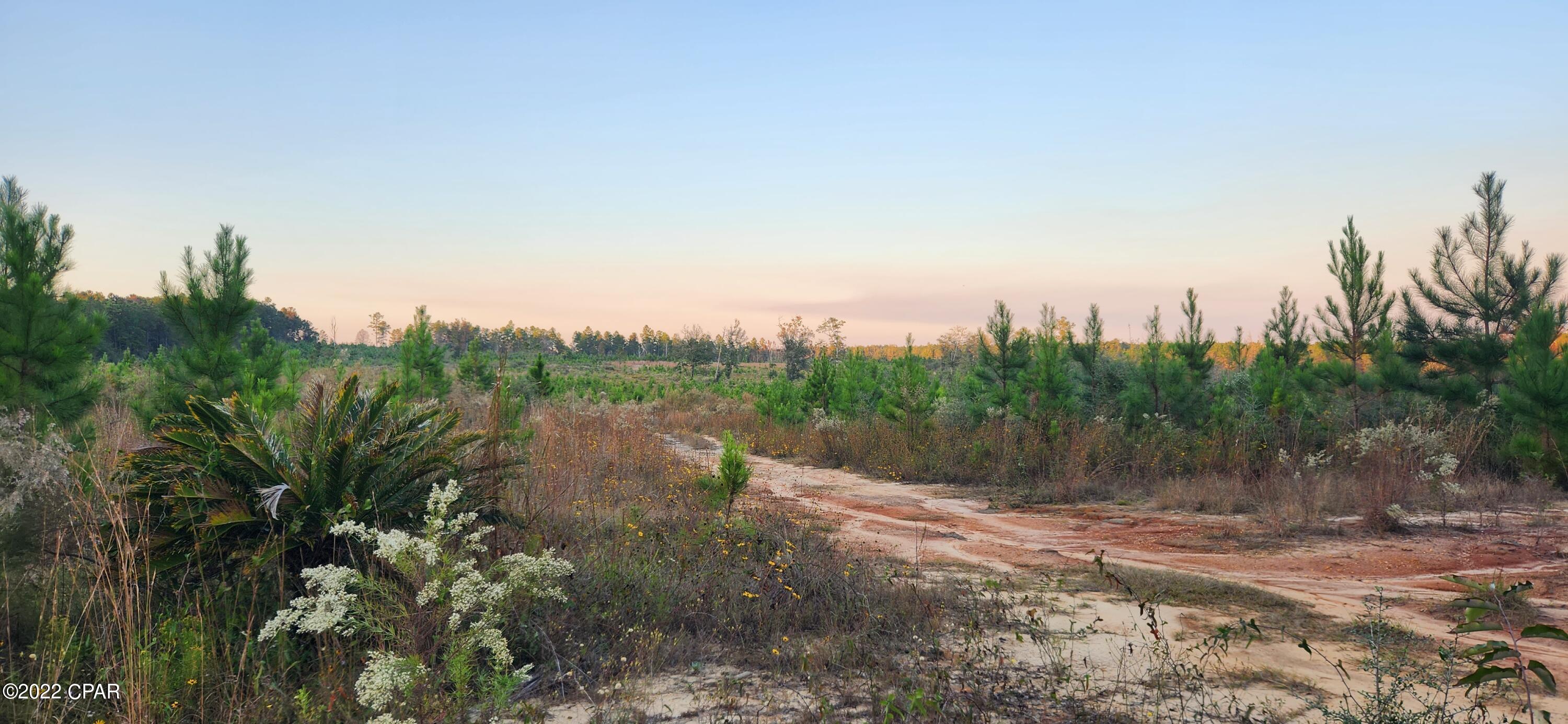 [No Recorded Subdiv] - Land