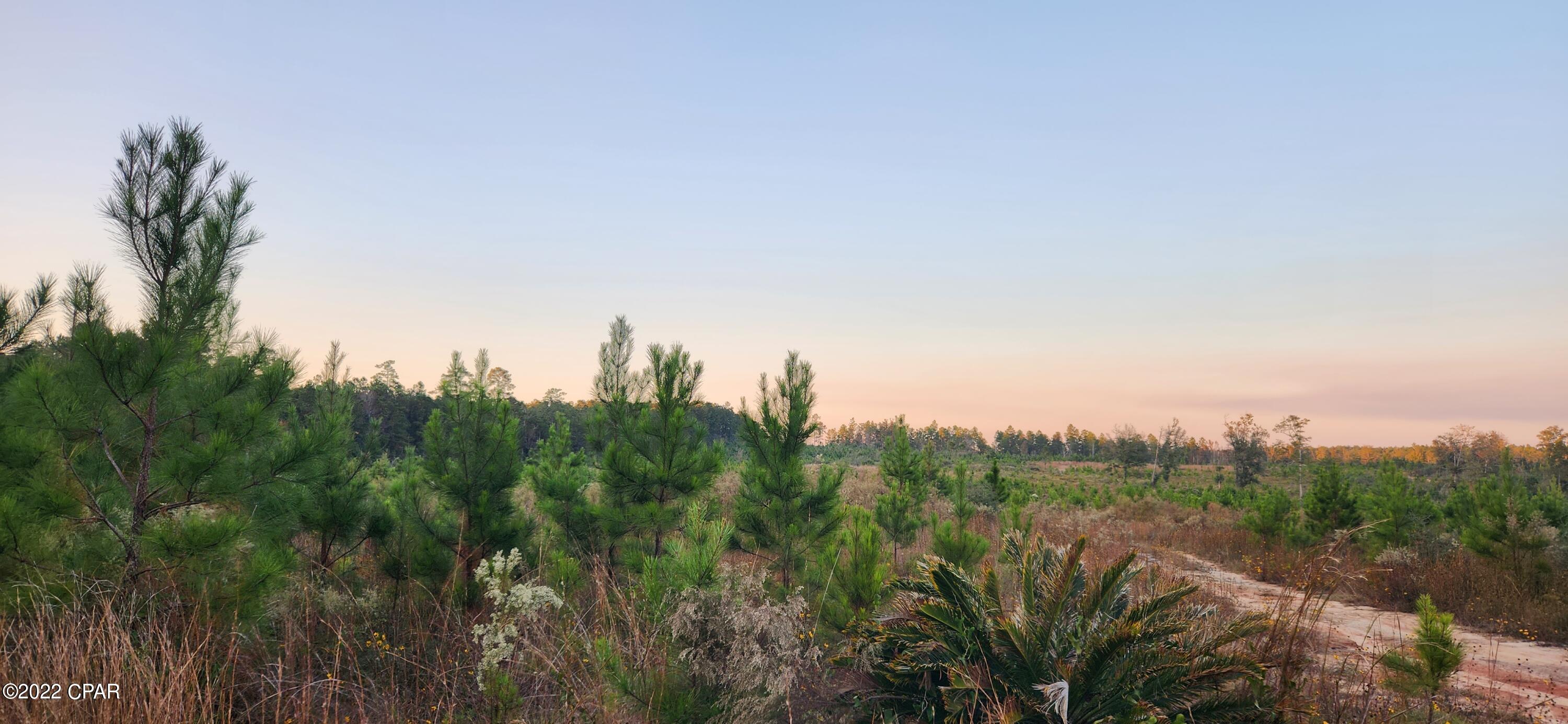 [No Recorded Subdiv] - Land