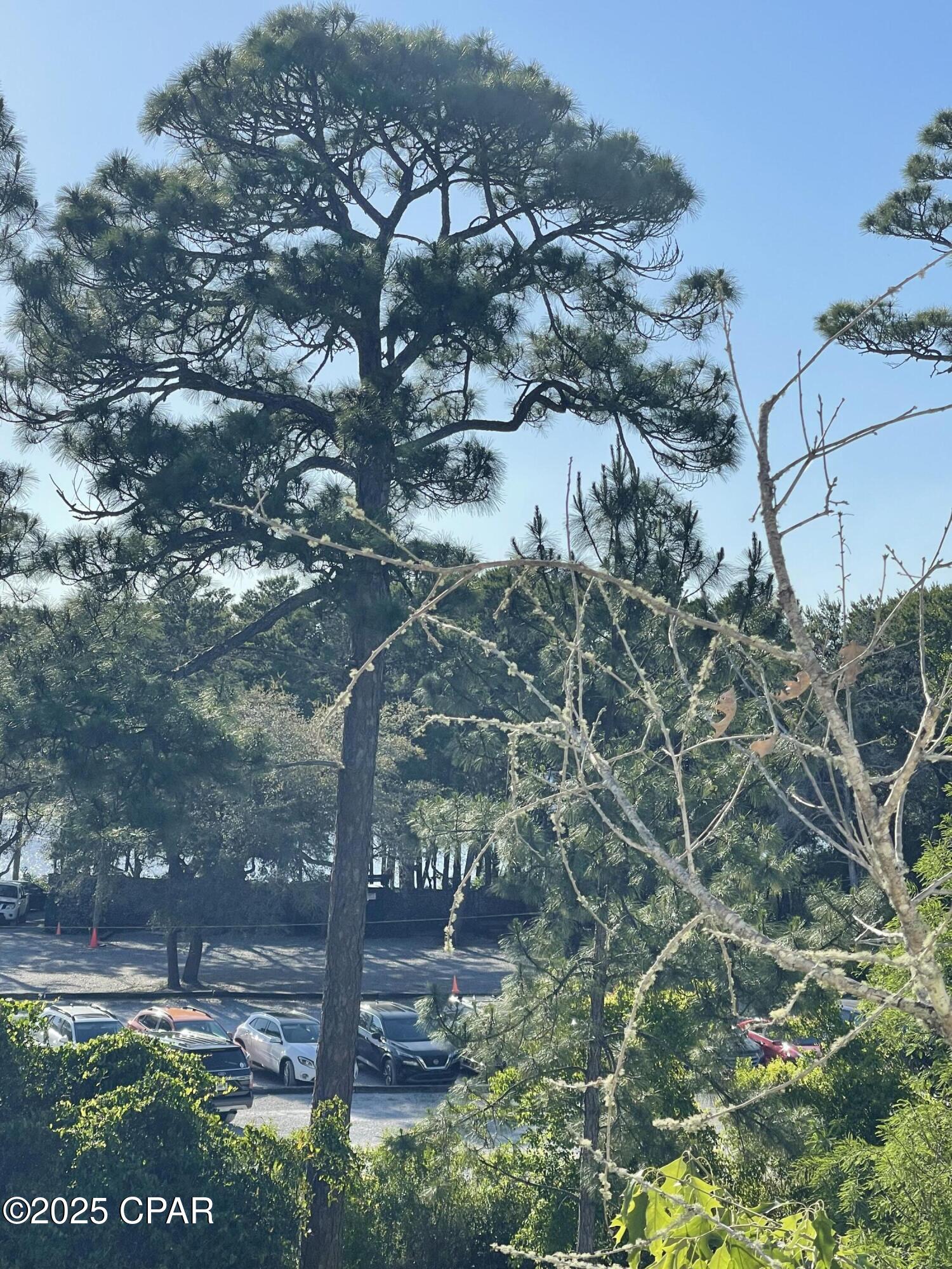 Heron's Watch - Residential