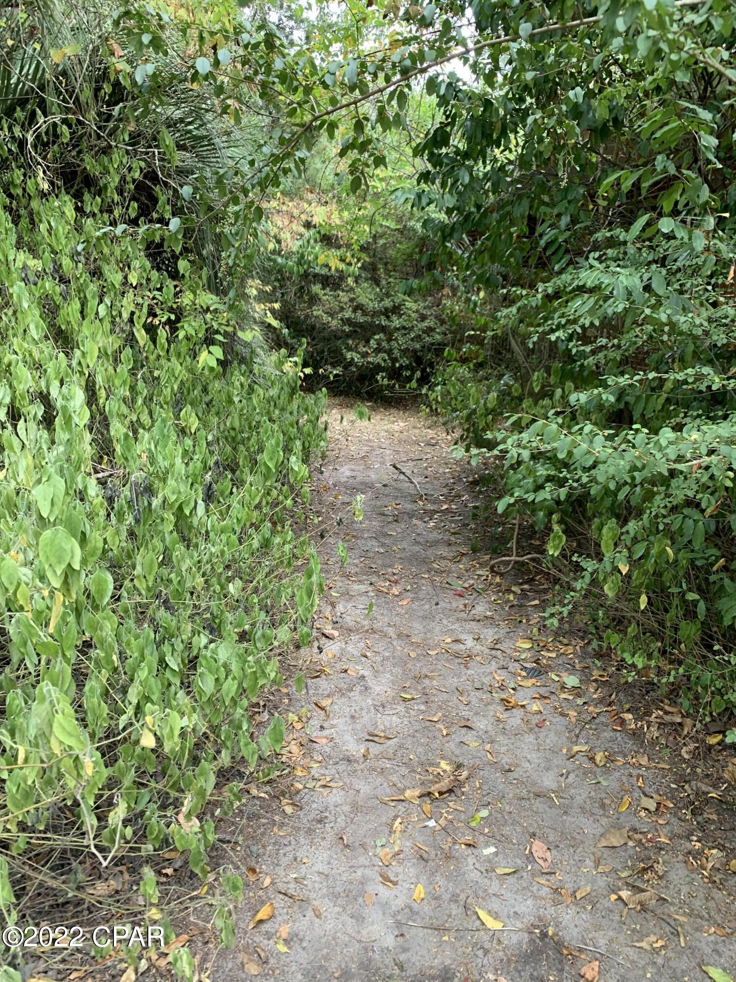 Crutchfield Addition - Residential