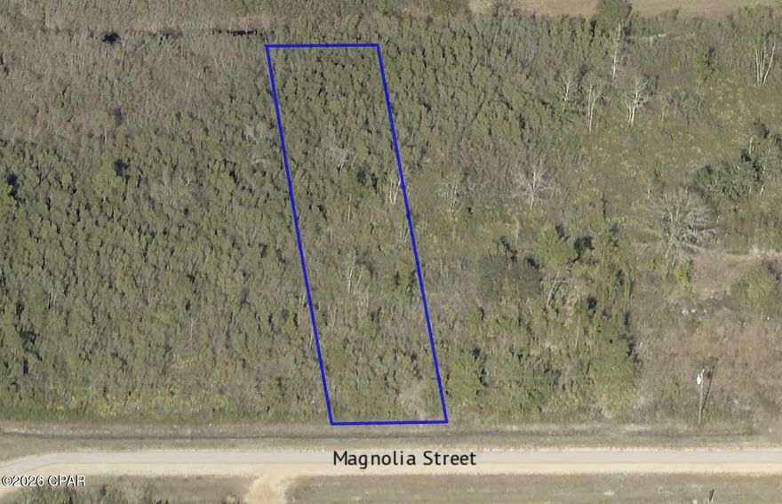 Affordable vacant lot in the peaceful community of Fountain, Florida! This 50' x 270' property, zoned R-2, is perfect for a single-family home or mobile home, giving you flexible options to build or place your next residence. Enjoy quiet rural living with convenient access to Hwy 231. Whether you're a first-time buyer, investor, or looking for a future homesite, this lot offers excellent potential at a great price. Owner financing available! This is a fantastic opportunity to secure land without the hassle of traditional lending--easy terms and a smooth process for qualified buyers. Property Highlights: 50' x 135' lot in growing Fountain, FL, R-2 zoning allows single-family homes or mobile homes, Peaceful area with room to grow, Owner financing available, Ideal for investors, builders, or affordable living plans. Don't miss your chance to own land with flexible financing options--start building your future today. Additional adjacent land available.