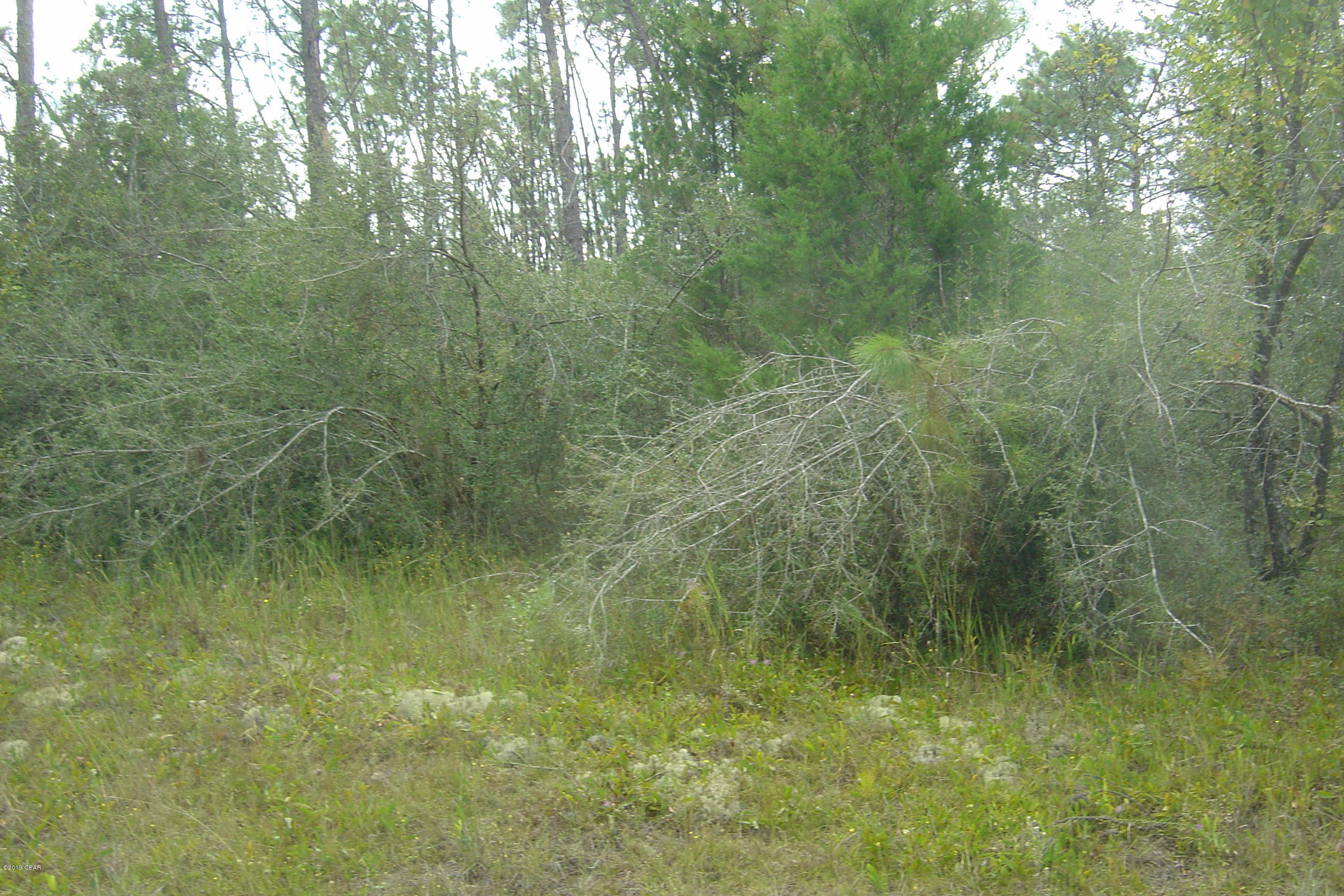 Compass Lake Hills Unit 4 - Land