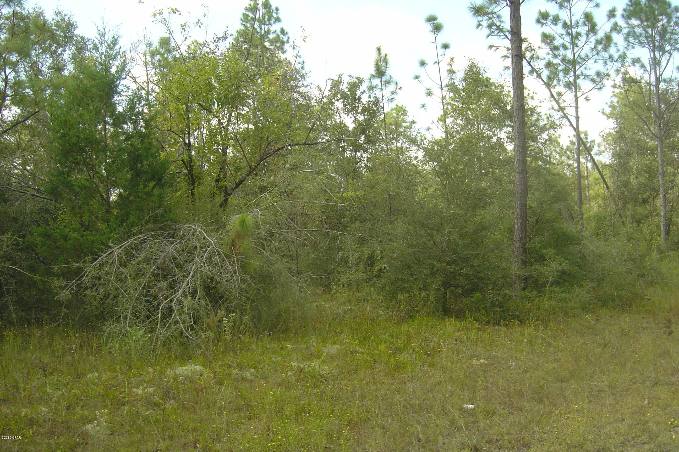 Compass Lake Hills Unit 4 - Land