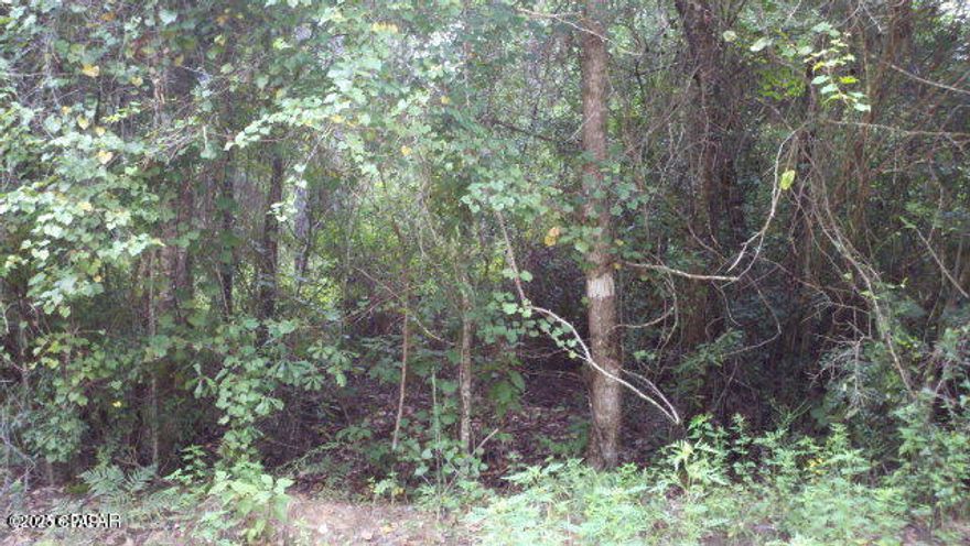 Great investment! Two wooded lots, combined equal 1 acre. Lots are not adjoining. You could sell one and build on the other one. Located in north of Bonifay.