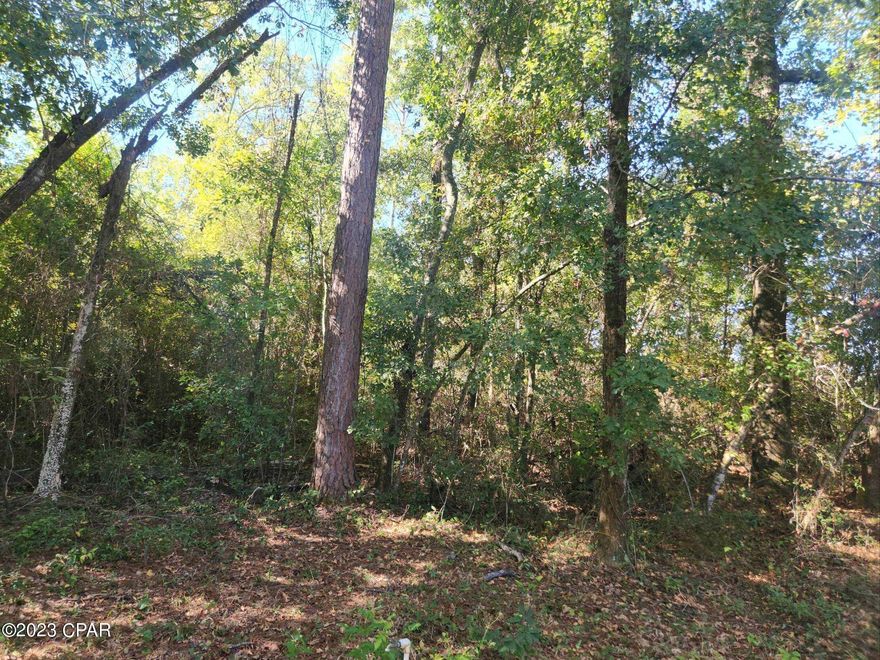 Wooded lot in Bristol FL. Located in a quiet community, would make a great homestead.