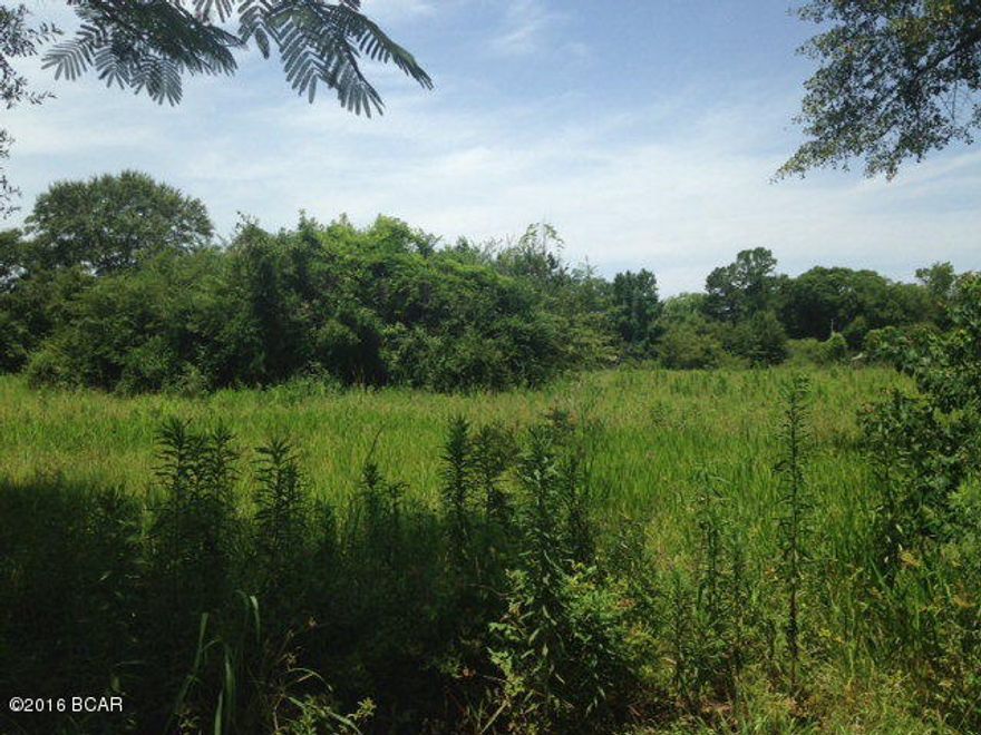 OVER 3 ACRE PARCEL LOCATED IN THE HEART OF CHIPLEY NEAR SHOPPING, DINING, SCHOOLS AND HEALTH FACILITIES. PROPERTY WOULD MAKE GREAT HOMESITE OR COULD POSSIBLY BE SUBDIVIDED. PRICED TO SELL.