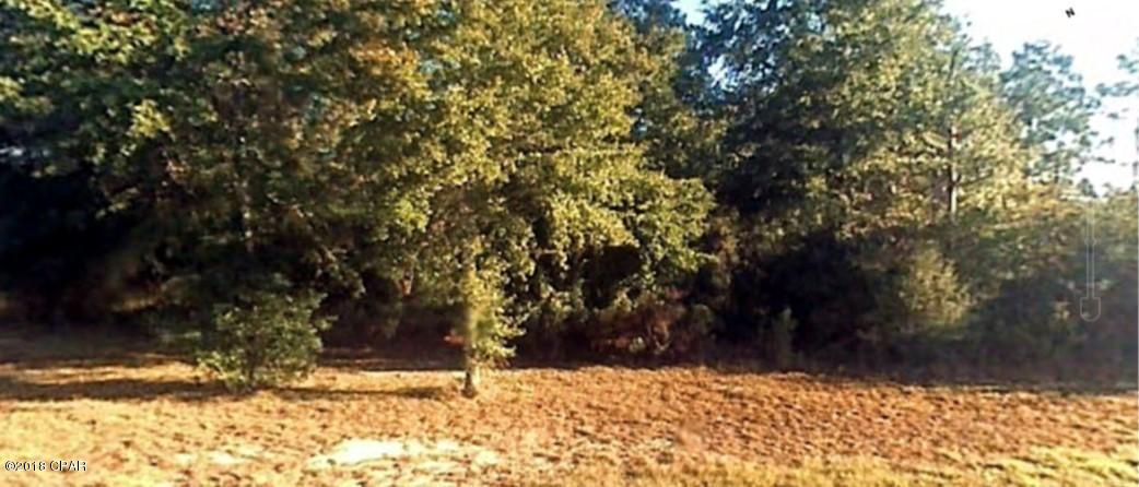 Grassy Pond Ranch - Land