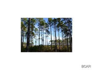 Rivercamps On Crooked Creek - Land