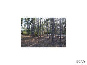 Rivercamps On Crooked Creek - Land