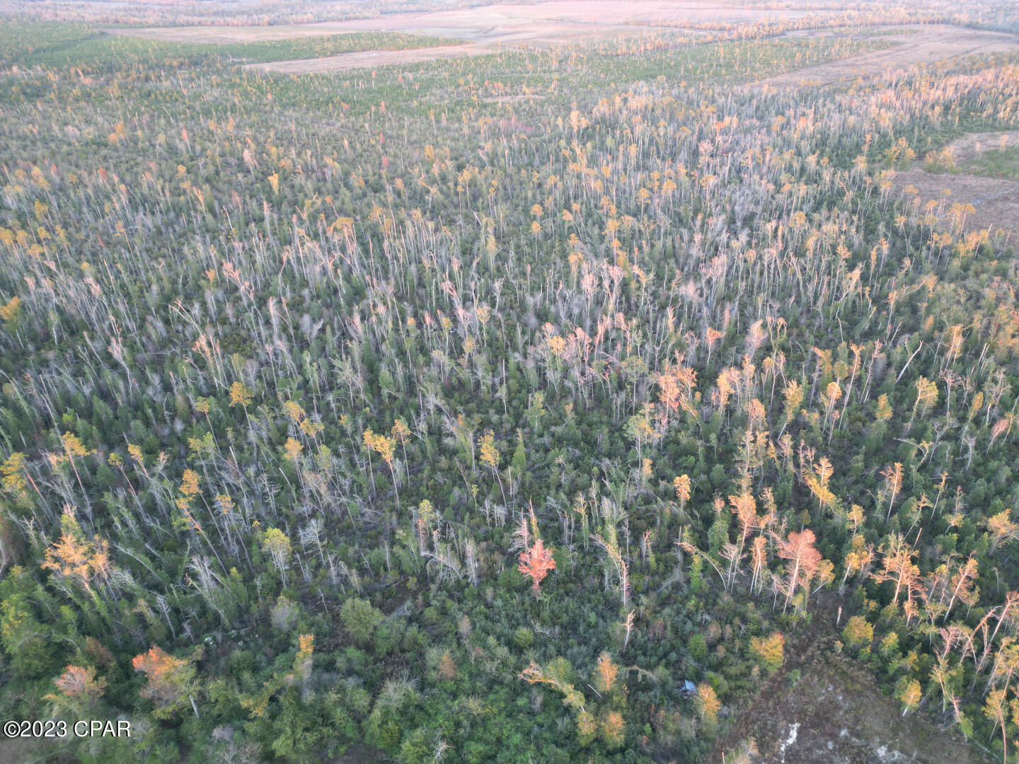 No Named Subdivision - Land