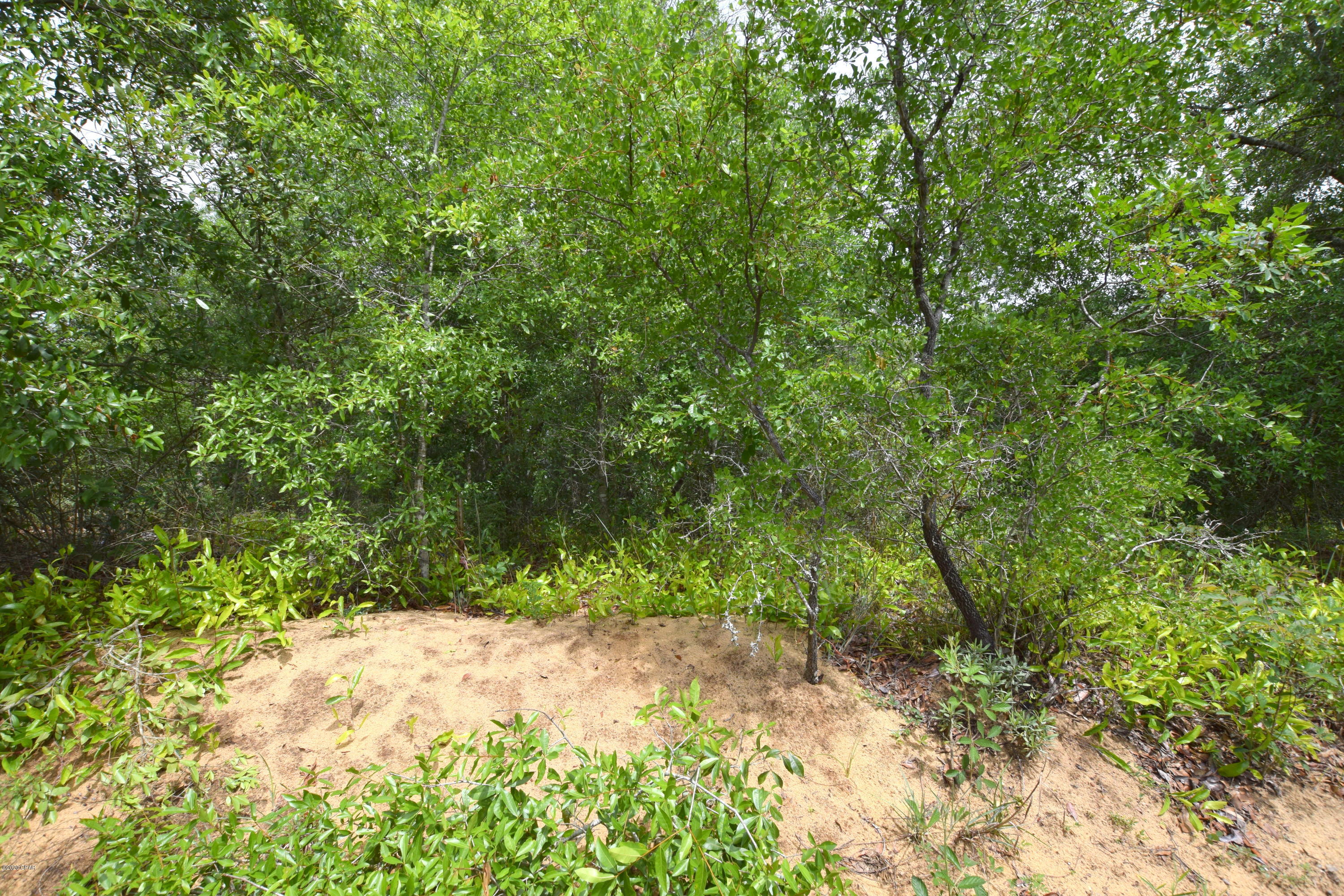 Seminole Plantations - Land