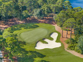 Wild Heron Phase IV - Residential