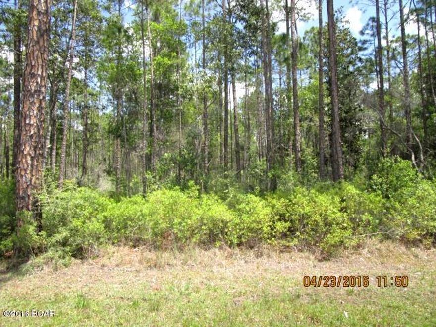 Great building lot in this gated community with new construction going on all around it!  Laird Point is a coastal community with great access to the water, yet only minutes to local restaurants, shops and Tyndall Air Force Base.