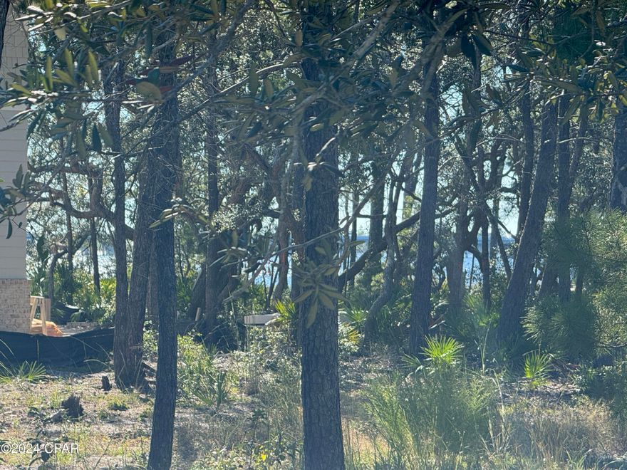 First lot off Lake Powell, VERY CLOSE TO LAKE WITH LAKE VIEWS!!  Conservation area behind with views of the golf course and potential gulf-views from the property.   At the end of the West Water Oak Bend cul-de-sac.   CLOSE TO THE AMENITIES AREA (Community pool, work out facility, boat house, boat ramp, fire pit and large park).