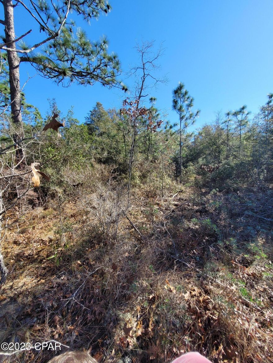 OWNER FINANCING AVAILABLE-Nice wooded lot on Sunny Hills golf course. Perfect for your new home! Close to Elkcam Blvd for easy access to Hwy 77. Several fishing lakes in the area, Boat Lake for seasonal swimming with paid pass. Approximately 45 minutes from Panama City Beach and 20 minutes from Chipley for local shopping.