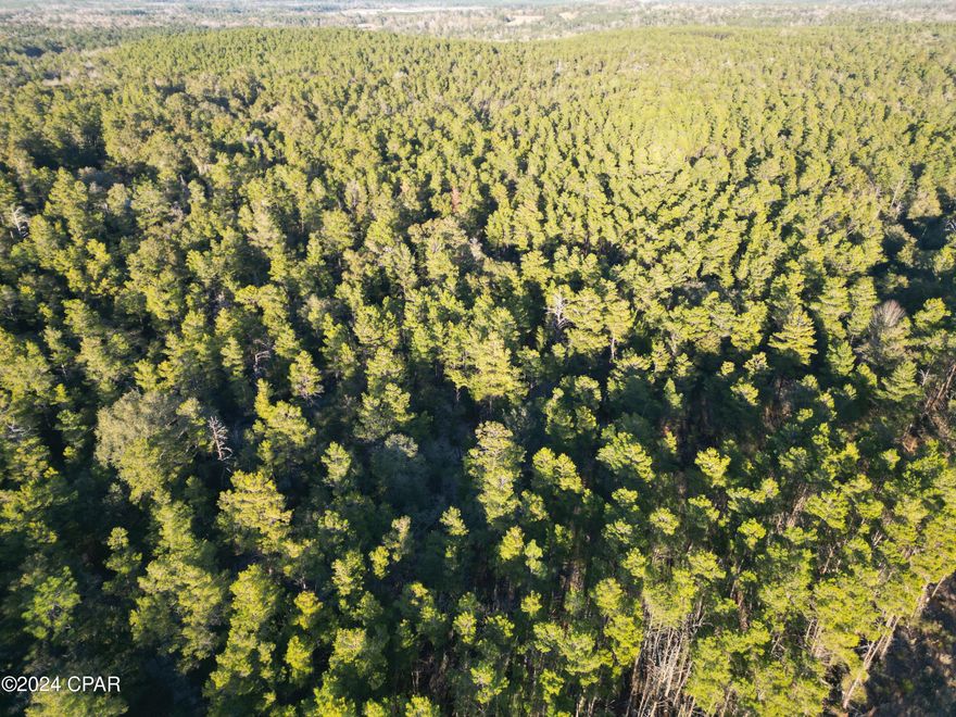 Highly sought after acreage in the Florida Panhandle!  Over 25 high and dry acres that would be perfect for one or multiple home sites.  Call today for more information.