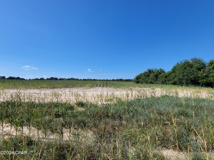 Welcome to this stunning 14+/- acre parcel of land located in the beautiful countryside of the Florida Panhandle. This lot offers a great opportunity to build your dream home or invest in prime real estate. With highway frontage it is ideal for construction and easy accessibility. Don't miss your opportunity to own this gorgeous piece of property and turn your dreams into reality!
