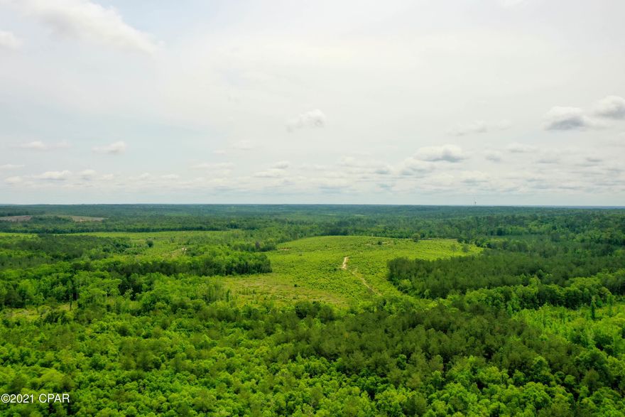This acreage piece offers many possibilities as well as features;  Wooded, Pippin Mill Creek, Pippin Mill Swamp, hilltop views, trail system and more. Excellent for your hunting pleasure.  Five different parcels make up this acreage.