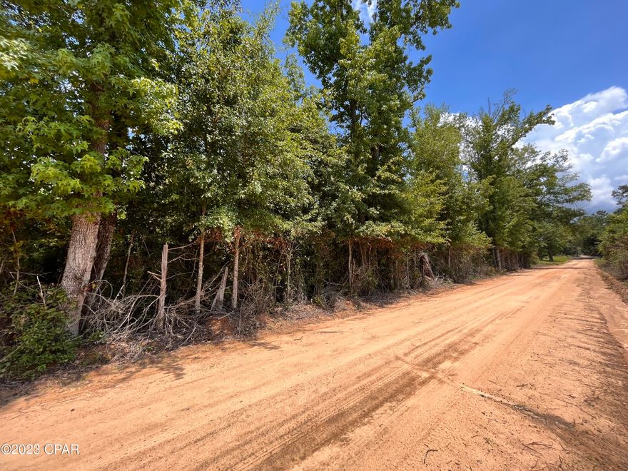 UNDER CONTRACT, SELLER WILL CONSIDER BACKUP OFFERS

6.67 wooded acres just off of Alford Rd. in the country. This land is located in a quiet setting and is unrestricted. With a lot of this proportion you have room to spread out. Bring your mobile home or build your home. Very close to Chipley or Alford and less than an hour from the beaches of PCB.