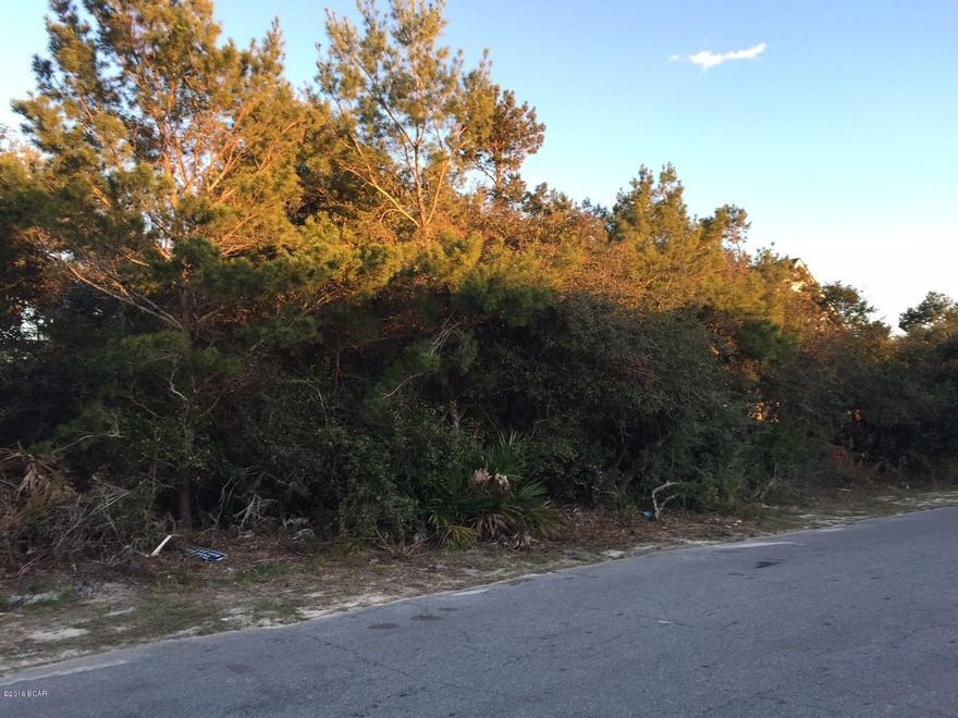 Incredible opportunity to own a nice buildable lot only 2.5 blocks to the beach and NO HOA fees!! Going west only 10 minutes to Carillon beach & 30A going east only 10 minutes to Pier Park and 20 min to the airport. Wow! such a great location. The lot next door is also available for purchase. Lots are becoming a rare commodity. Don't let this opportunity pass you by check out mls #640575  for the lot next door.