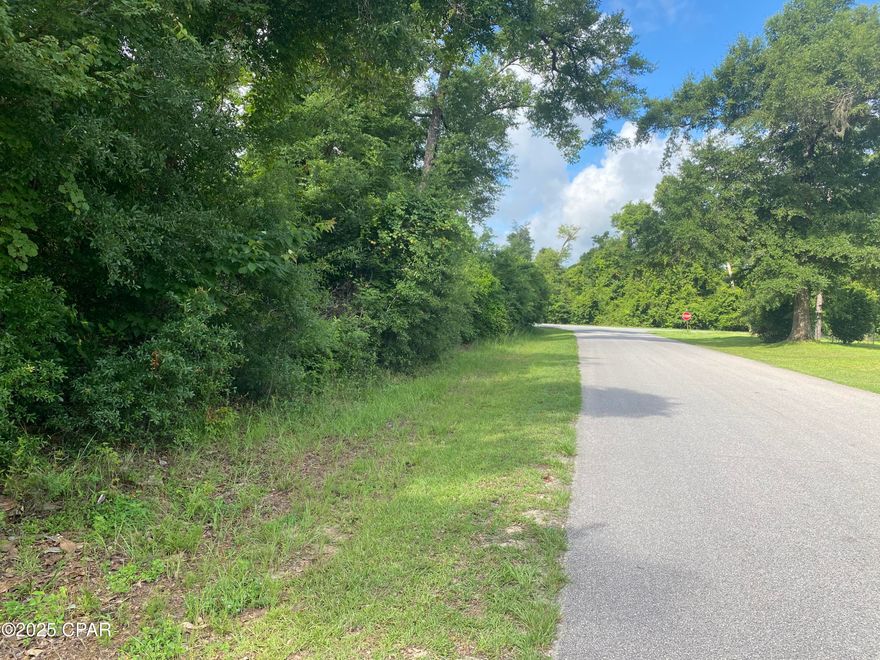 Discover this tranquil, wooded one-acre lot in the family-friendly Indian Springs community, near the eastern bank of Merritt's Mill Pond. Home to Magnolia Oaks Golf and Country Club, this lot (#13)  on scenic Oak Drive, renowned for its majestic trees, offers an ideal setting to build your dream home. New construction requires a minimum of 1,600 sq. ft. for single-level and 2,000 sq. ft. for multi-story homes. Enjoy paved road access, with public water and sewer coming soon (see attached supporting documents). Whether you're ready to build or invest, this property suits both. Contact us today for more details! (Note: Buyer should verify utilities, property restrictions, and listing details.) Multiple lots for sale.  See pictures and map.
Key features:
*Paved road access
*Upgraded public water and sewer coming soon - no well or septic needed
*Quiet and peaceful neighborhood
*Close proximity to Merritt's Mill Pond (220 acre spring-fed lake with crystal clear waters)