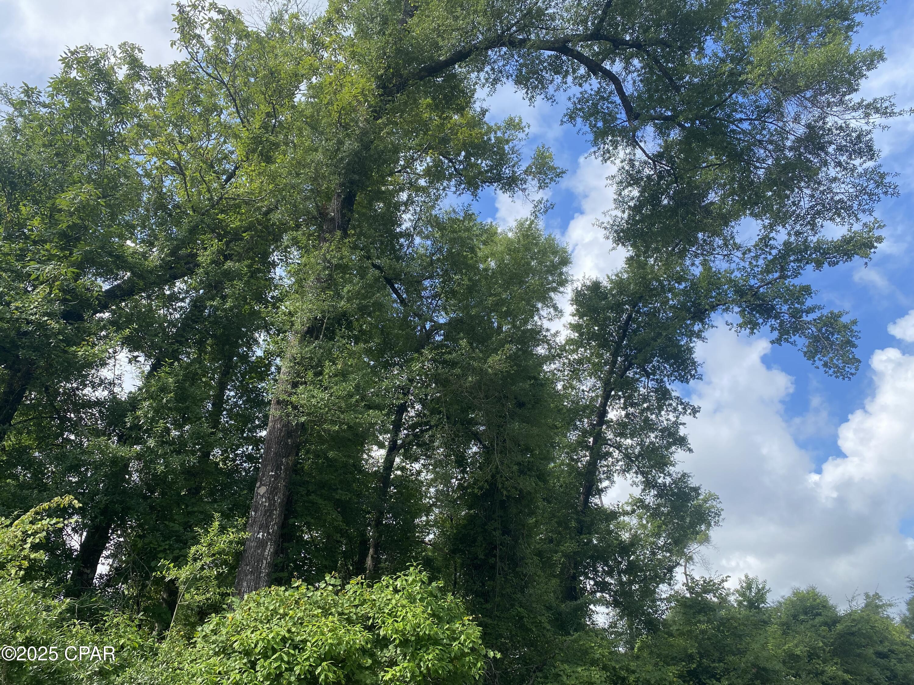 Indian Springs Golf Course - Land