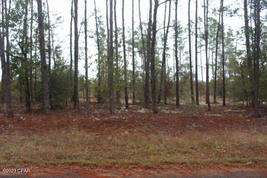 This area of the Panhandle is growing like weeds.  Buy now before prices hit the roof. This lot is priced right.  Wooded lot in flood zone x.  New homes in the area. Located on a paved road.  Underground utilities.   Short drive into Freeport & a 39 min drive MOL to Grayton Beach.