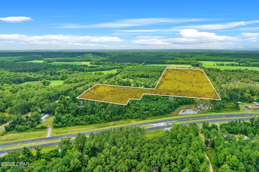 40 acre lot with 677 feet fronting Fanning Branch Road. Farm the land, sell the timber, or build your dream home! So many possibilities!