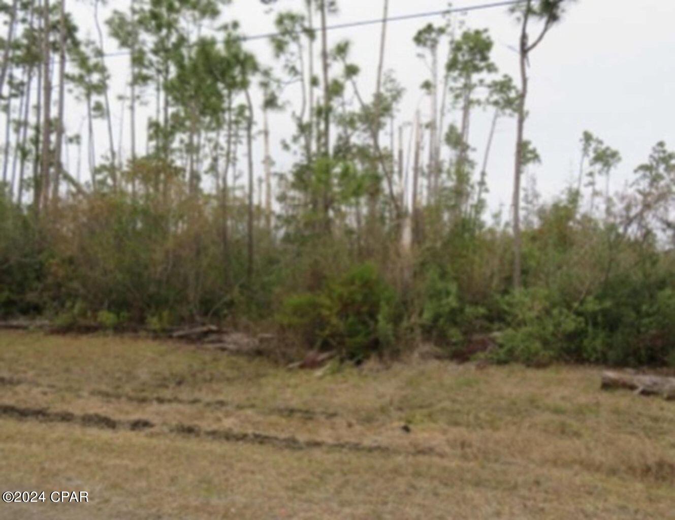 East Bay Point - Land