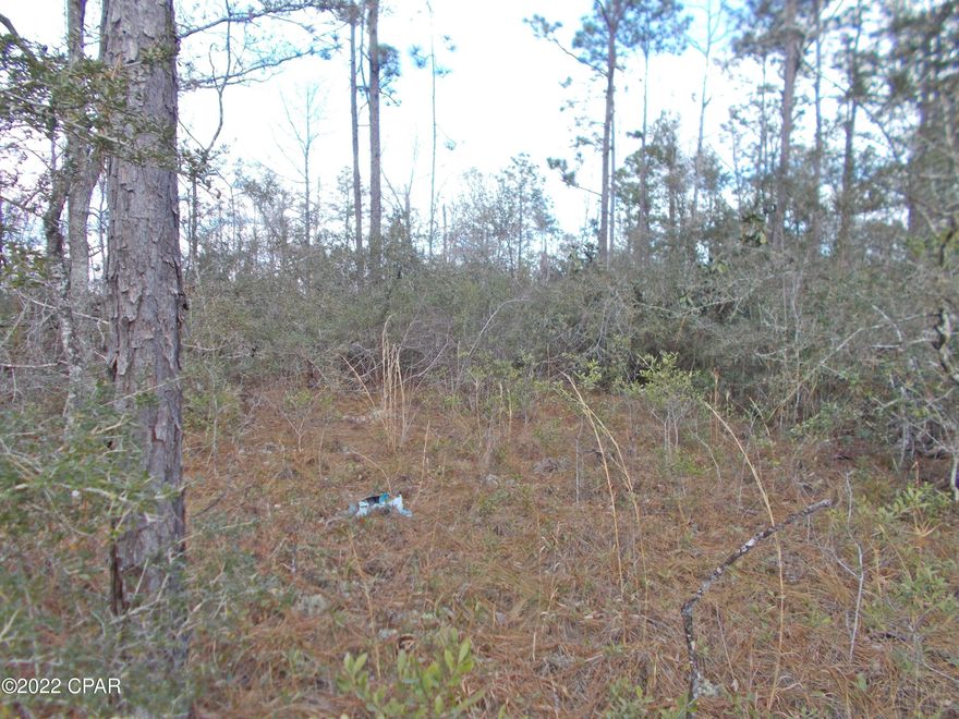 Very nice, wooded lot on a paved road in Compass Lake in the Hills MLS numbers 722494,722492,722491 join this lot making a large 6+ ac parcel with a pond. Very rare find.