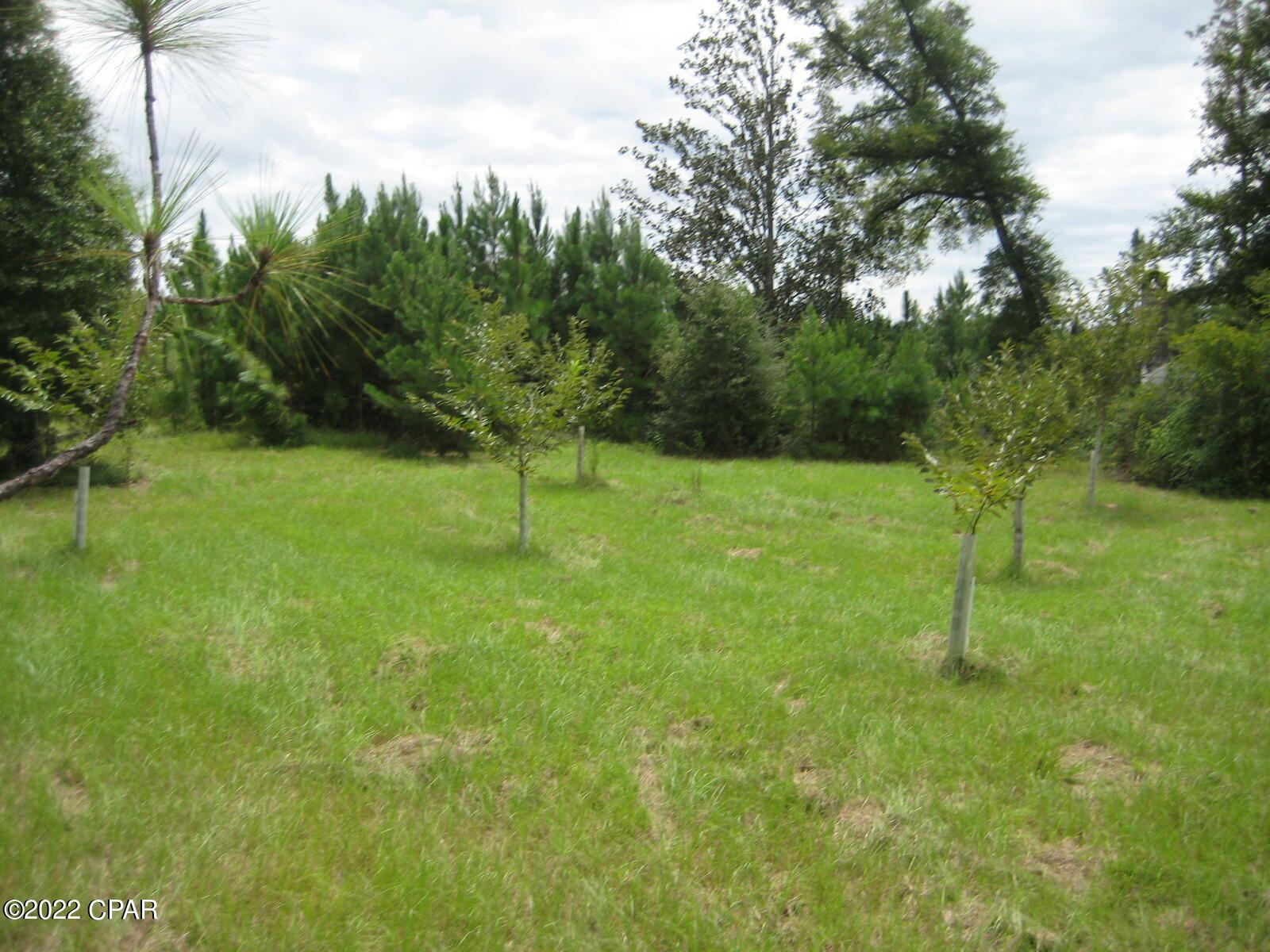 [No Recorded Subdiv] - Land