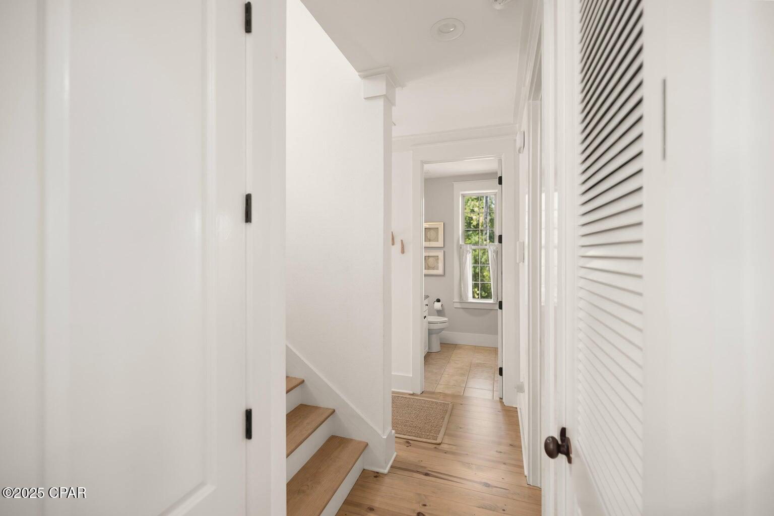 Treetop - Residential