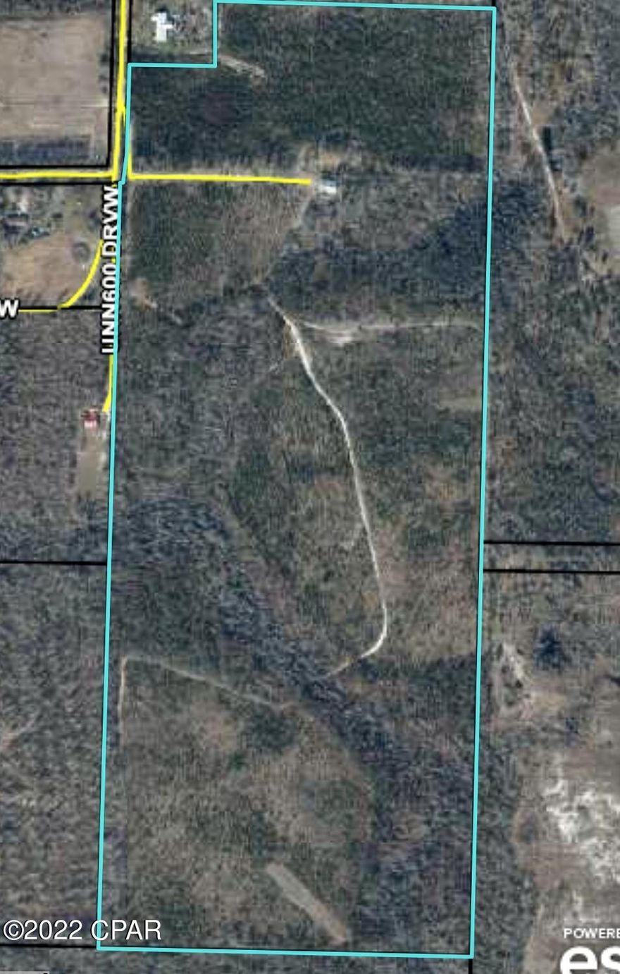 Just in time for hunting season, welcome to a sportsmen's private paradise.  This 89.5 acre Parcel is perfect for building your forever home.  Whether your looking for farmland, a place to keep and ride horses or just a peaceful place to relax, this property is equipt with approximately 1 mile of riding trails.  the majority of the property is planted with 8 year old pines and several areas in the parcel with beautiful old oak trees.  This property is equipt with a very large 14' high 40x60 pole barn with concrete floor large enough to park 2 RV's and several play toys including ATV's and UTV's. There's a 30' RV with bunkhouse and queen bed room along with double gated access with long private drive.  The possibilities are endless with this property.  This is a must see listing! Low taxes