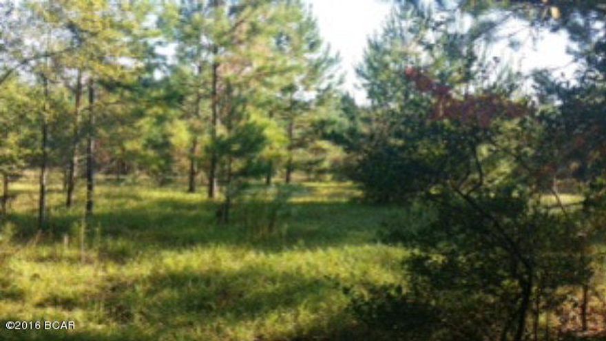 Private country setting with this 5 acre tract. Property was once cleared and has volunteer pines throughout. No restrictions, mobile homes and horses ok. Some fencing in place.