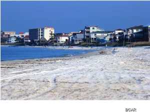 Paradise Shores - Residential