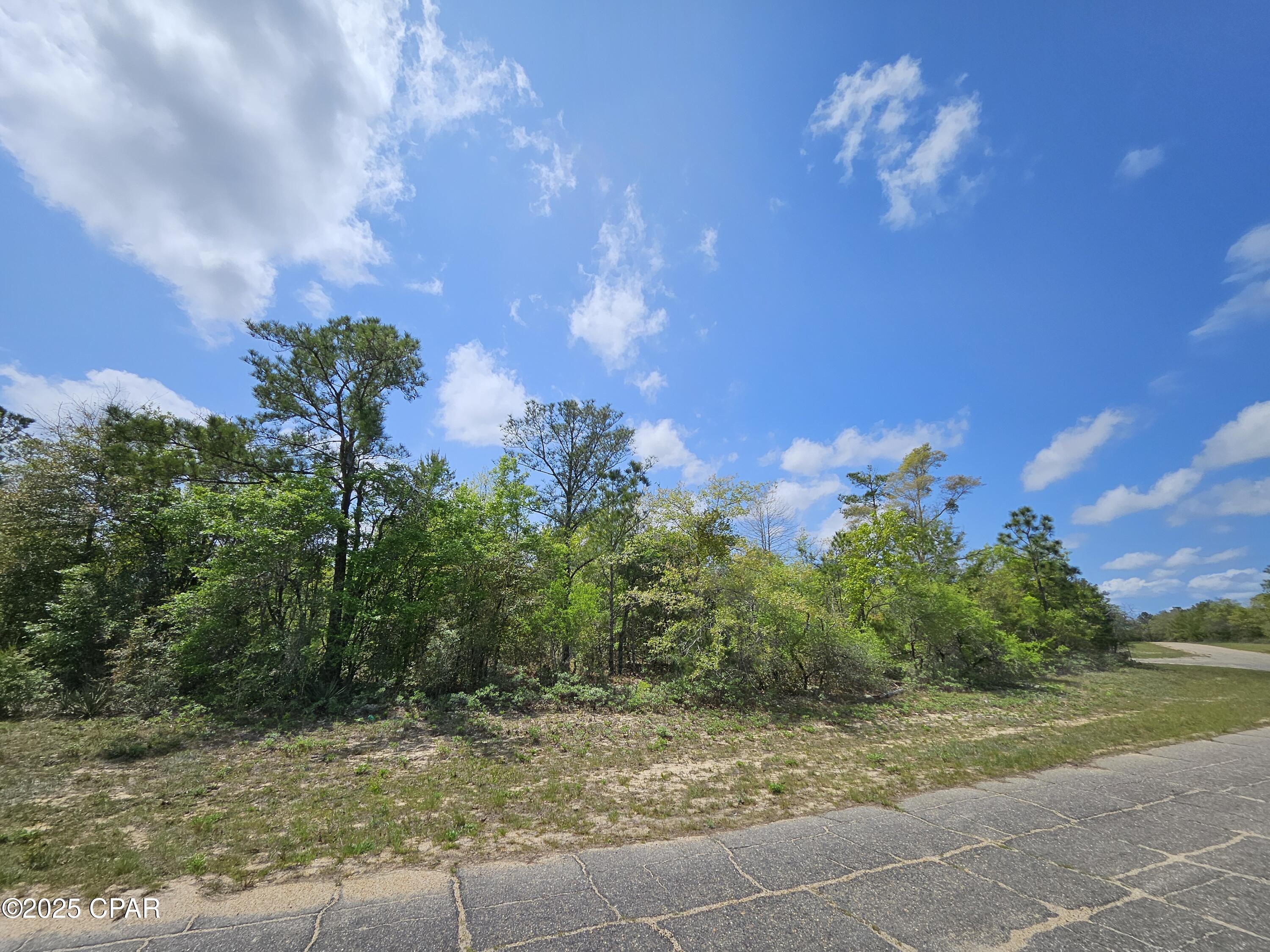 Sunny Hills Unit 9 - Land