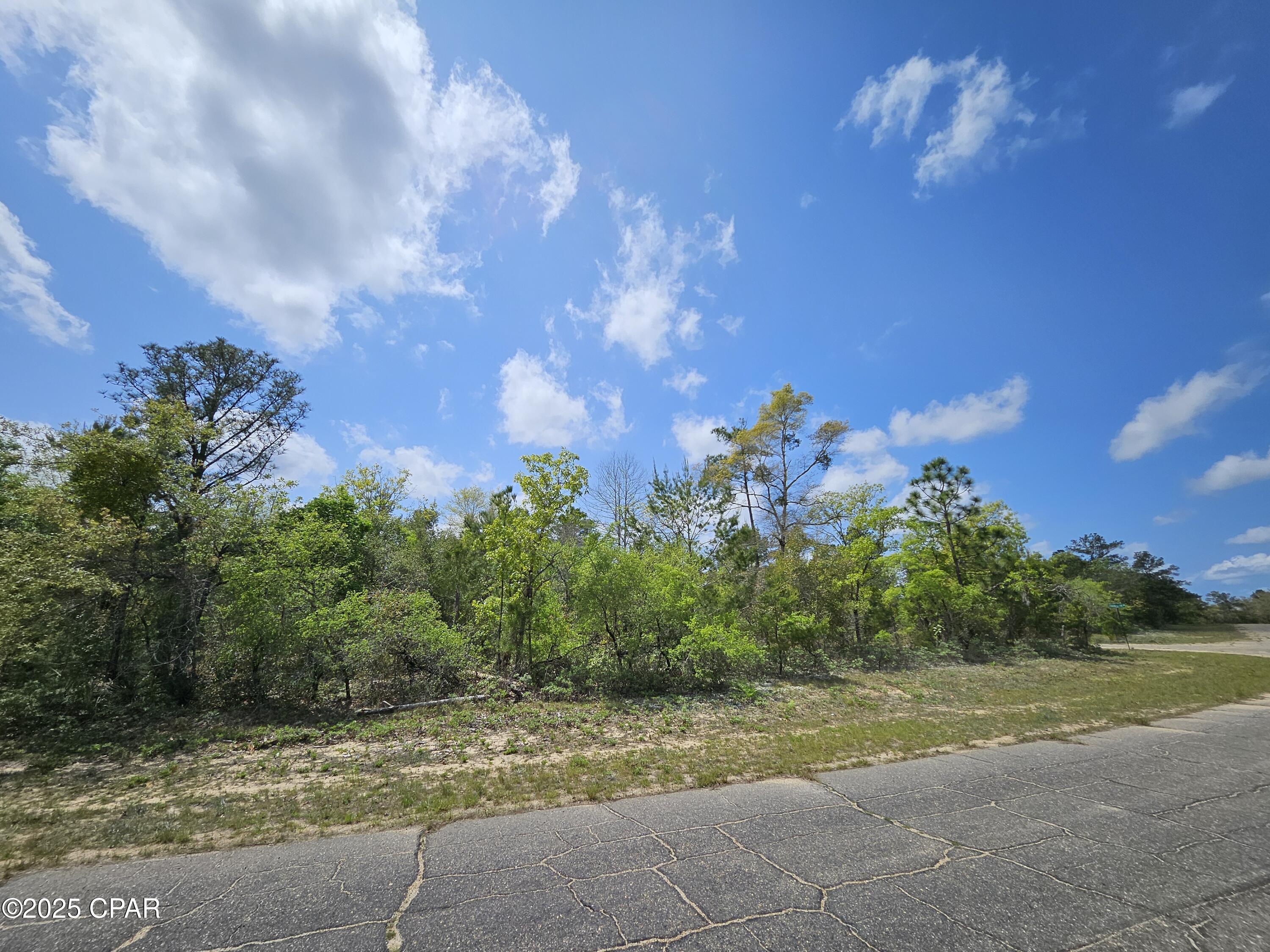 Sunny Hills Unit 9 - Land