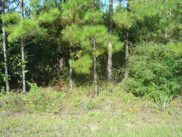 Compass Lake In The Hills - Land