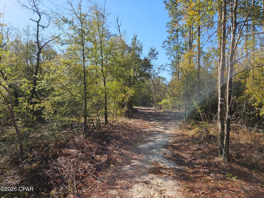 Welcome to the country side of life. The lake subdivision offers a peaceful setting but offers plenty of recreational opportunities for those who enjoy the outdoors. This 2.5 (+/-) acre flat lot is located at the end of a cul-de-sac so there will be very limited traffic by few neighbors. There is a mix of oak trees and pines for shade and extra privacy on the lot that gets wider the deeper it goes. Amenities include live gate guards weekdays with special individual codes for residents when guards not present, swimming pool, newly remodeled toddler playground at the covered pavilion area, picnic tables, men's and women's restrooms, basketball court, tennis court, concrete boat launch, swim platform and more. Come take a tour today.