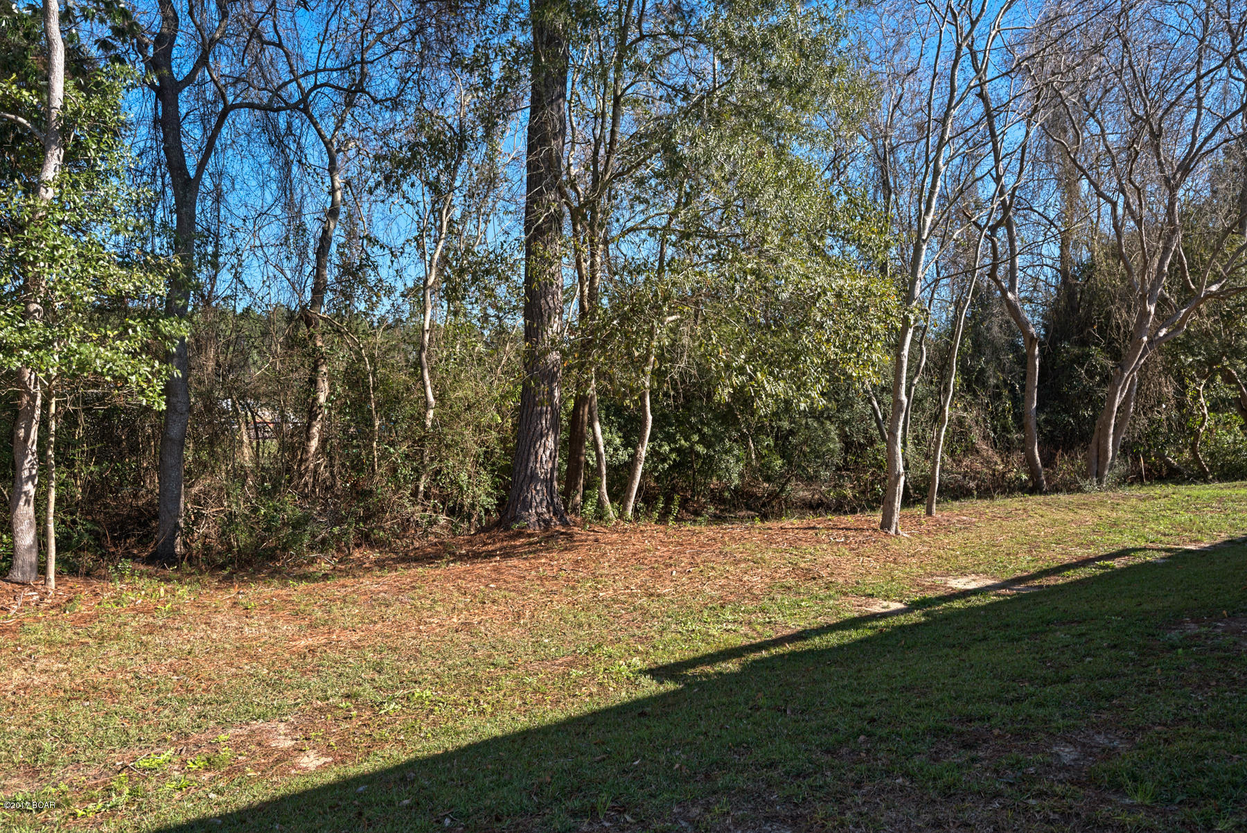 Cedar Branch - Residential