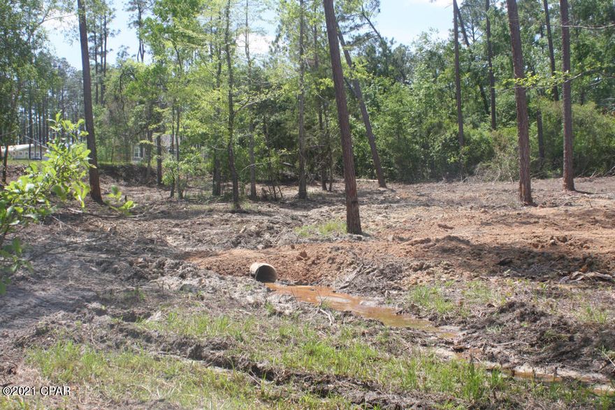 Large Lot ready to build on.   This lot backs up to State Park and has paved road access on front and back. Rear of property on  Joiner Rd.  Nice Up Scale Neighbor hood  Quiet and yet  close to the Interstate 10  and Hwy 77.   This lot also has a small stream that runs thru it.  Build your Dream House here 1800 sq ft min  No Mobile Homes